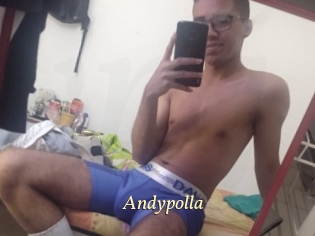 Andypolla