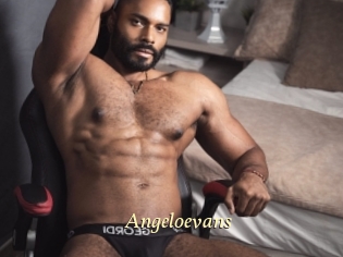 Angeloevans