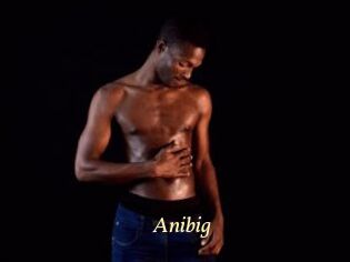Anibig