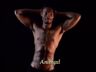 Anibigxl