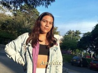 Aniefelix