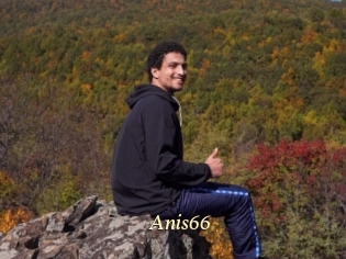 Anis66