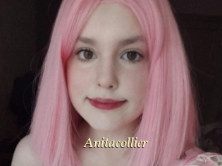 Anitacollier