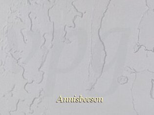 Annisbeeson