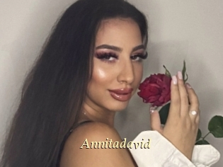 Annitadavid
