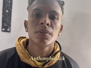 Anthonybigdick