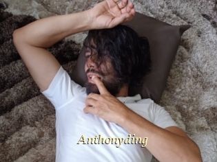 anthonyding Vidéo porno gratuite