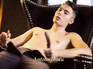 Antohnybeau