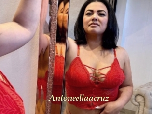Antoneellaacruz