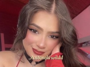 Antonelawildd