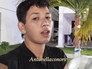 Antonellaconors