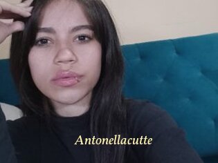 Antonellacutte