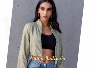 Antonelladivala