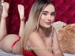 Antonellaforest