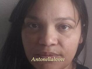 Antonellalovee