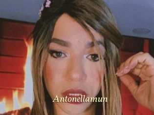 Antonellamun