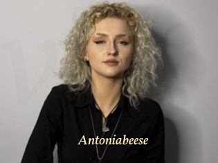 Antoniabeese