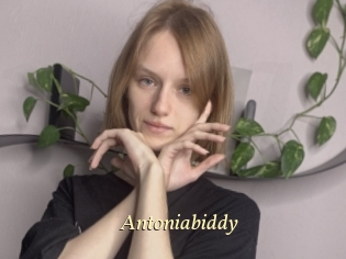 Antoniabiddy