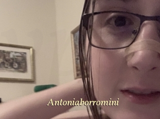 Antoniaborromini