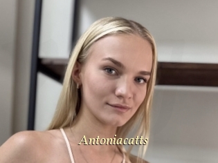 Antoniacatts
