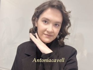 Antoniacavell