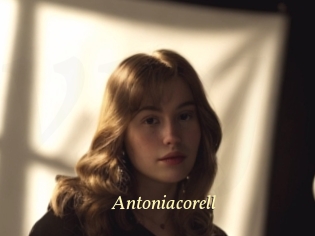 Antoniacorell
