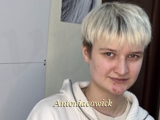 Antoniacowick