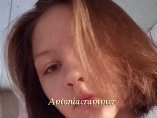 Antoniacrammer