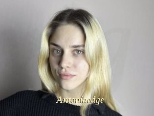 Antoniaedge