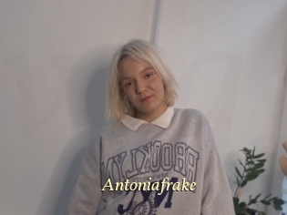 Antoniafrake