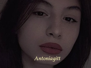 Antoniagitt