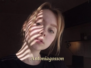 Antoniagosson