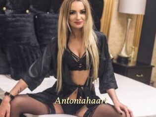 Antoniahaart