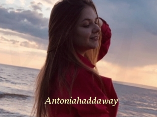 Antoniahaddaway