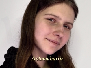 Antoniaharrie