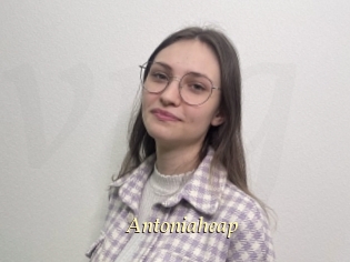 Antoniaheap