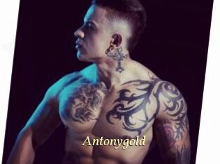 Antonygold