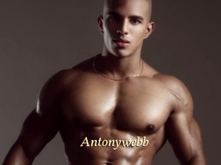 Antonywebb