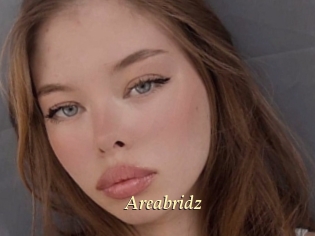 Areabridz
