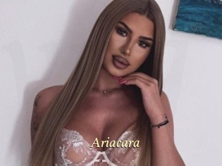 Ariacara
