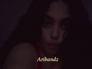 aribandz Vidéo porno gratuite