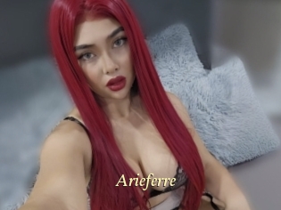 Arieferre