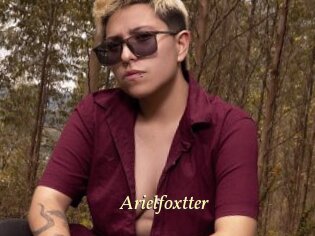 Arielfoxtter