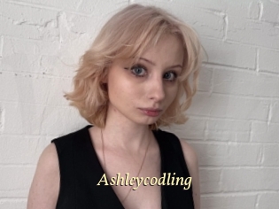 Ashleycodling