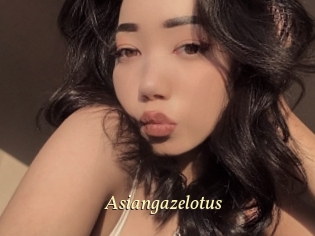Asiangazelotus