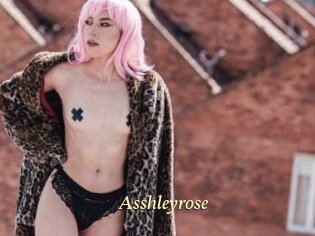 Asshleyrose