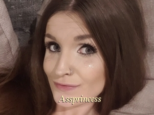 assprincess Vidéo porno gratuite