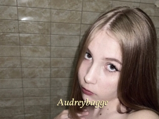 Audreybagge