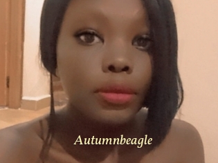 autumnbeagle Vidéo porno gratuite