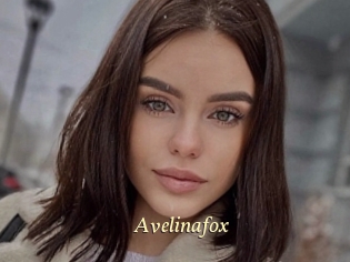 Avelinafox